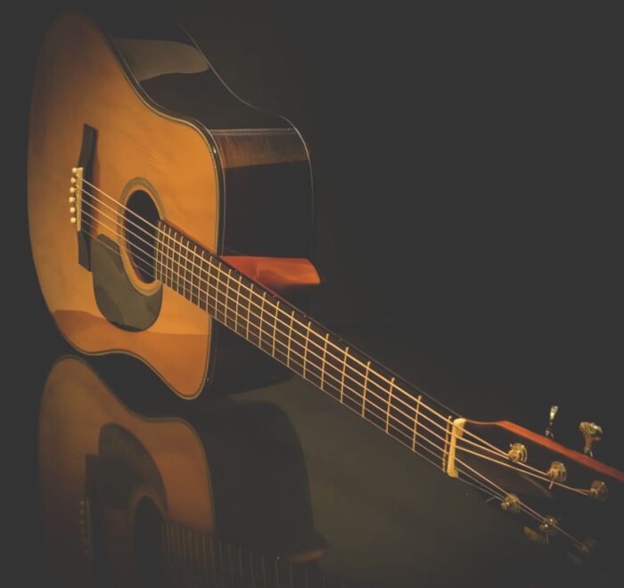 NK Forster Guitar Comparison: Dimensions, Price & Tonal Qualities