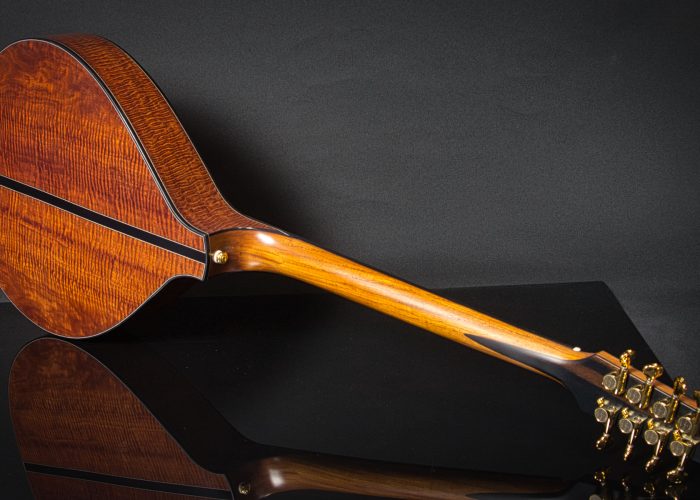 Irish bouzouki rear full view