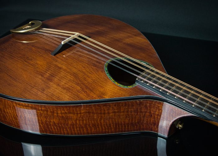 Irish bouzouki top and sides