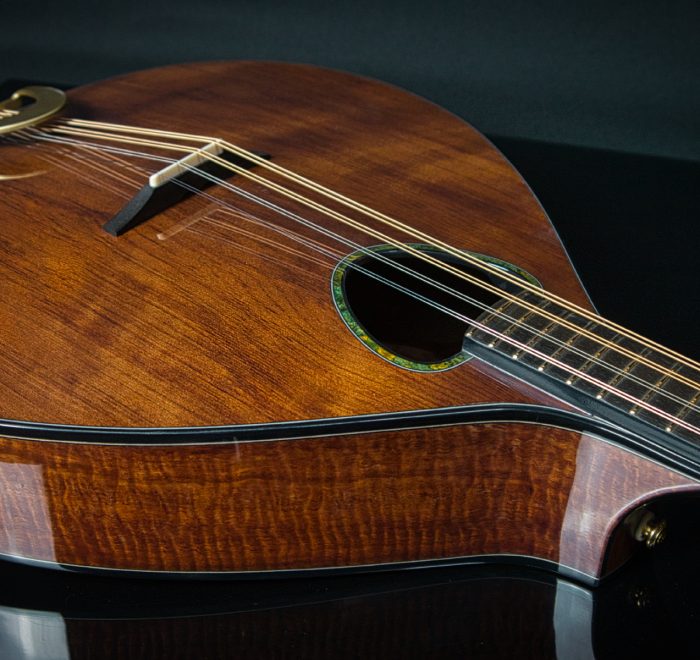 Irish Bouzouki
