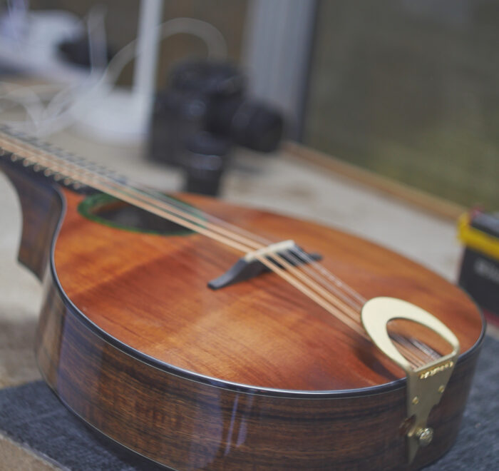 Standard Model bouzouki