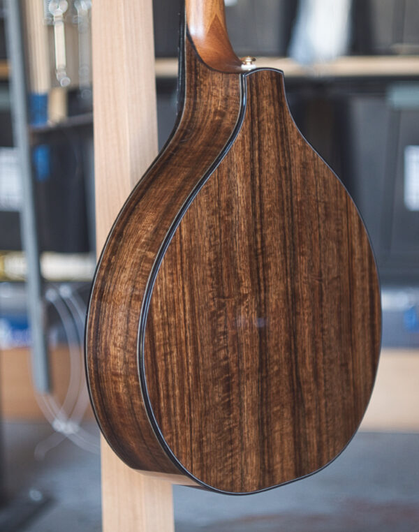 std Irish bouzouki back