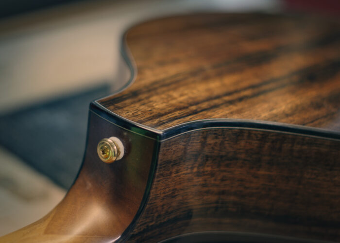 std Irish bouzouki back