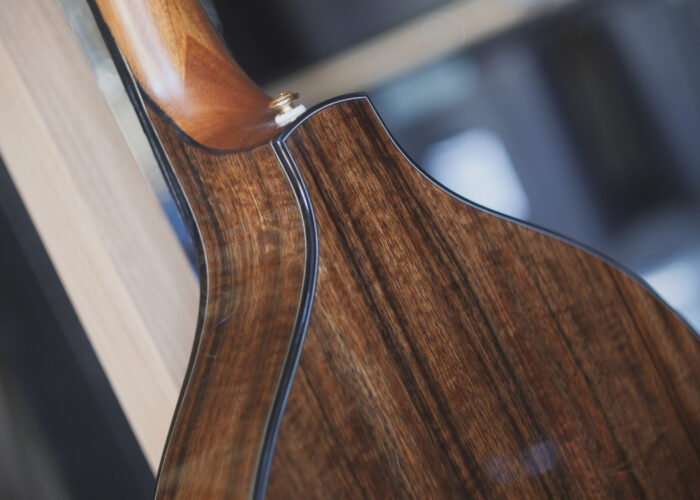 std Irish bouzouki back close