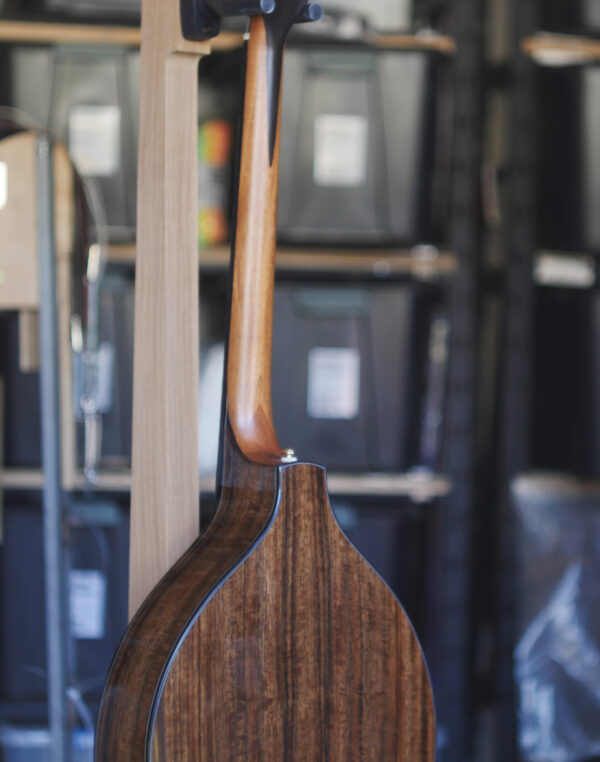 std Irish bouzouki back full