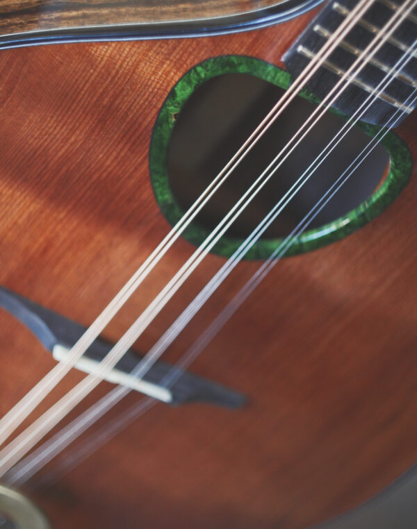 std Irish bouzouki front and rosette