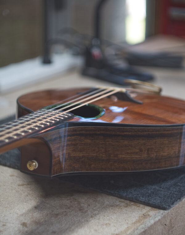 std Irish bouzouki on bench