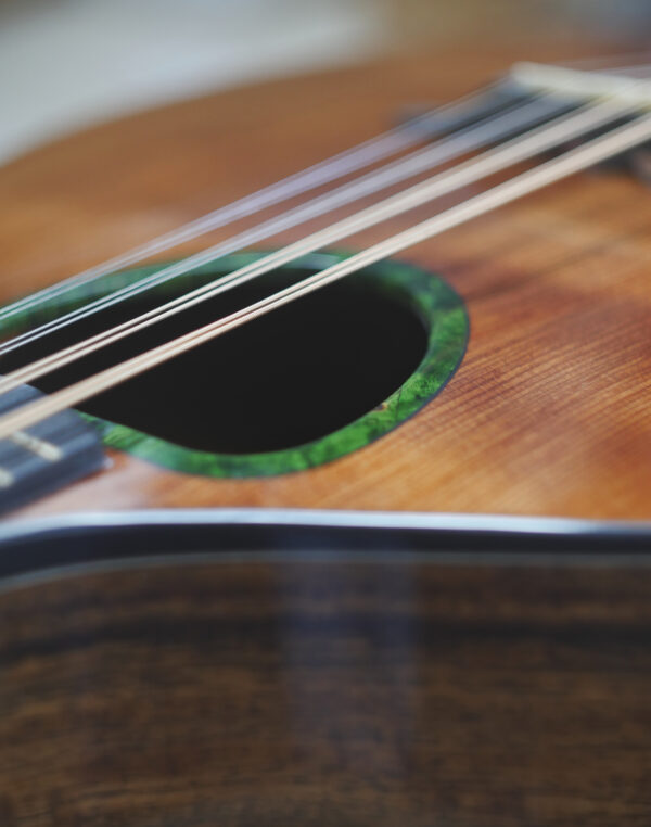 std Irish bouzouki rosette