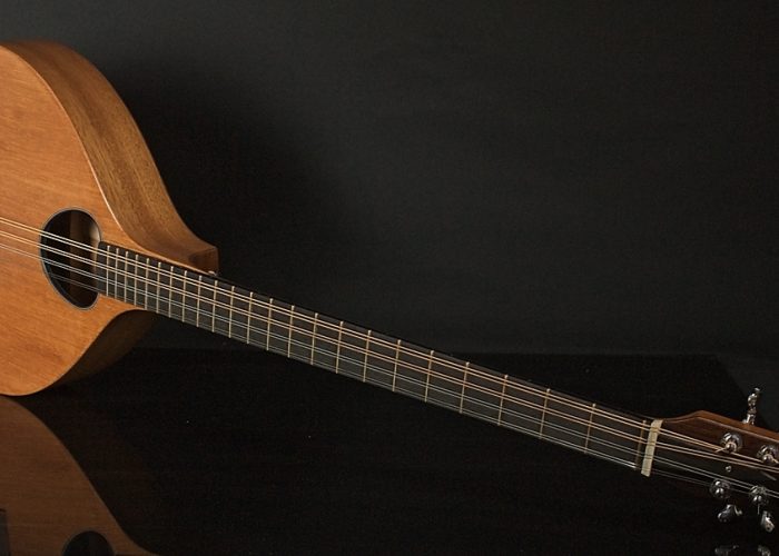 archtop action