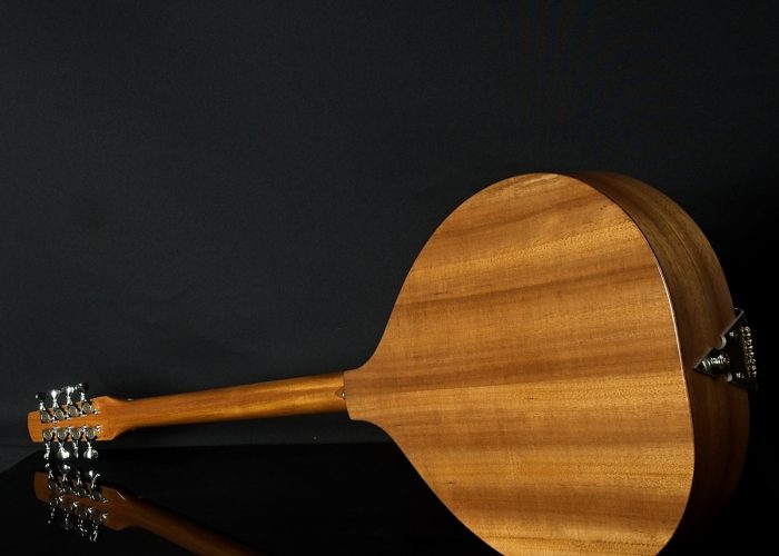 archtop back