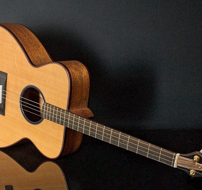 NK Forster Tenor Guitar Comparison: Dimensions, Price & Tonal Qualities