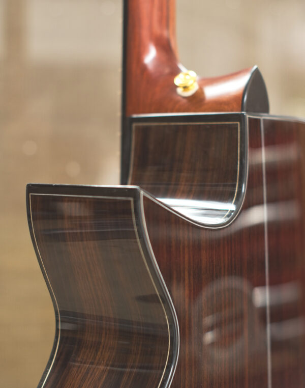 10 string guitar bouzouki