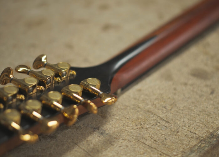 10 string guitar bouzouki headstock