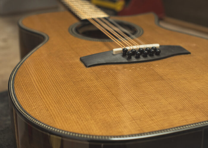 10 string guitar bouzouki top