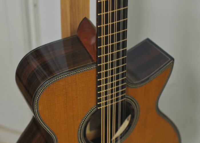 10 string guitar bouzouki upper bout