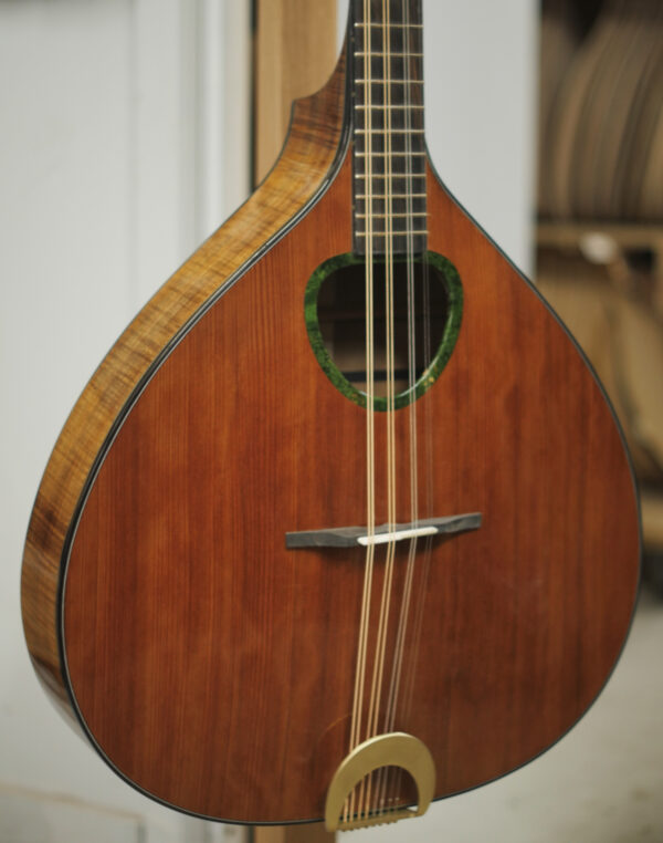 Irish bouzouki 3