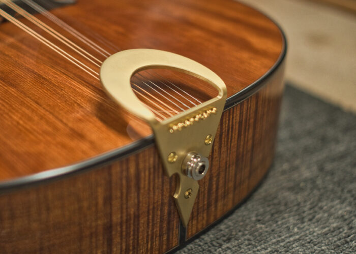 irish bouzouki 11