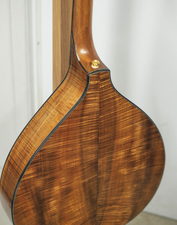 irish bouzouki 8