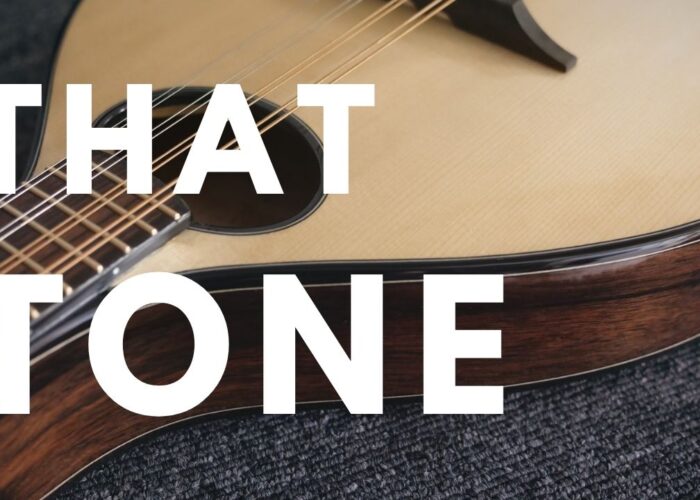 Building a Celtic mandolin from start to finish.