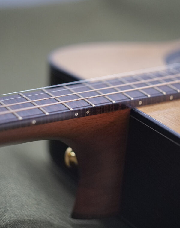 tenor side dots