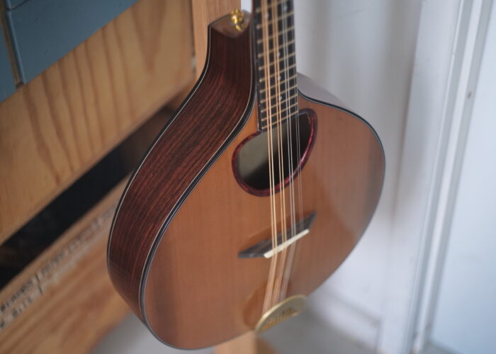 A Standard body archtop octave mandolin, off to Florida